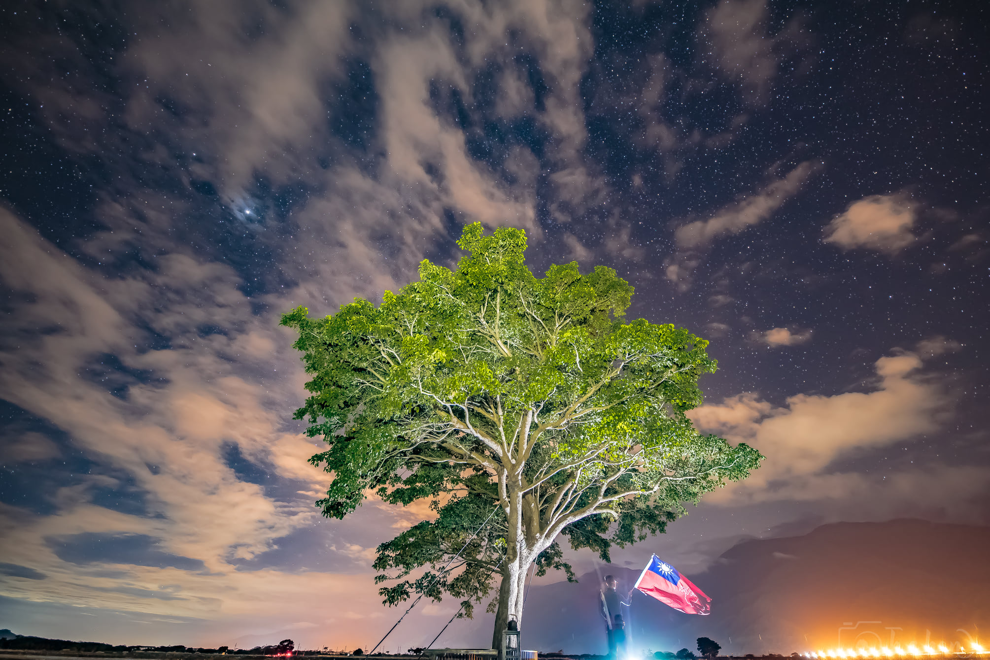 伯朗大道 金城武樹-謝承翰